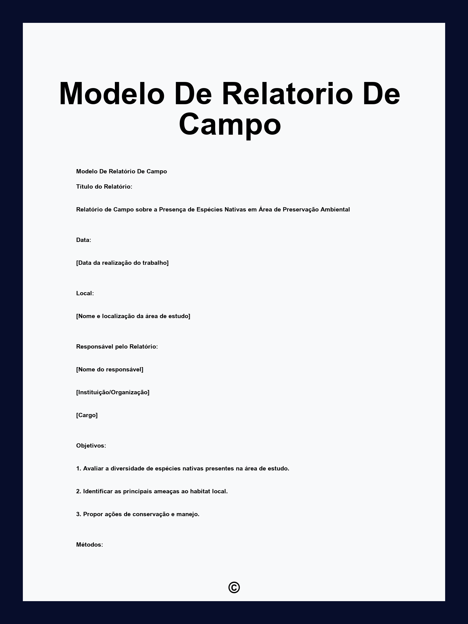 Modelo De Relatorio De Campo